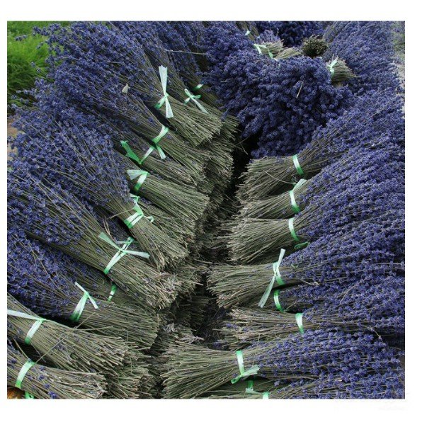 2 Bó hoa Oải Hương (Lavender) khô 130g