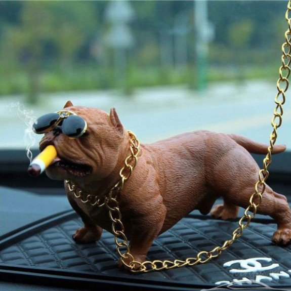 Bộ 4 chú chó Pitbull trang trí nhà & ô tô